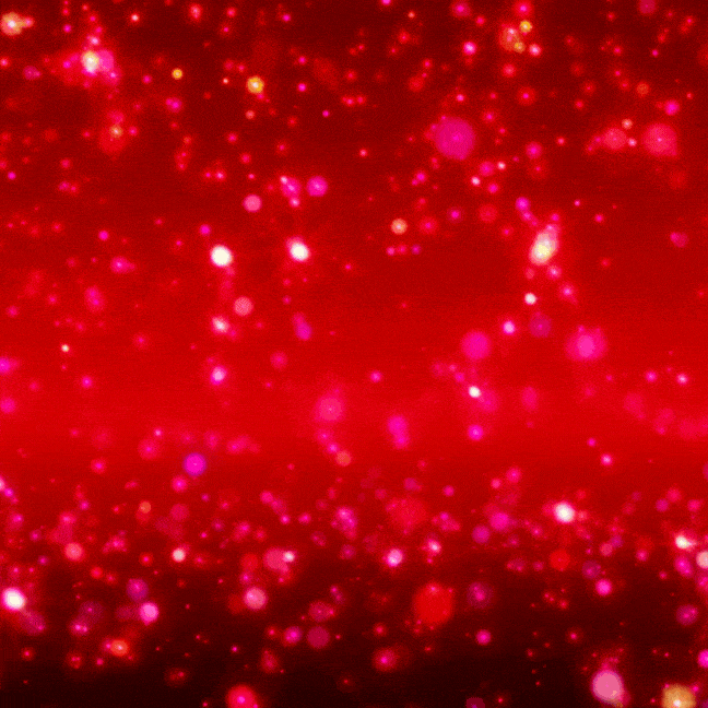 Happy Valentine's Day Gif 2024-min