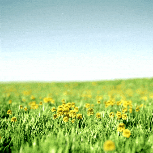 Happy Valentine's Day Gif with quote 2024-min