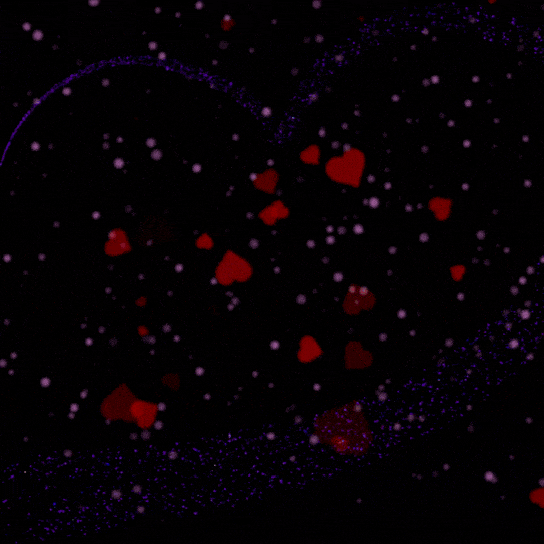Valentine's Day gif 2024 Free Download-min