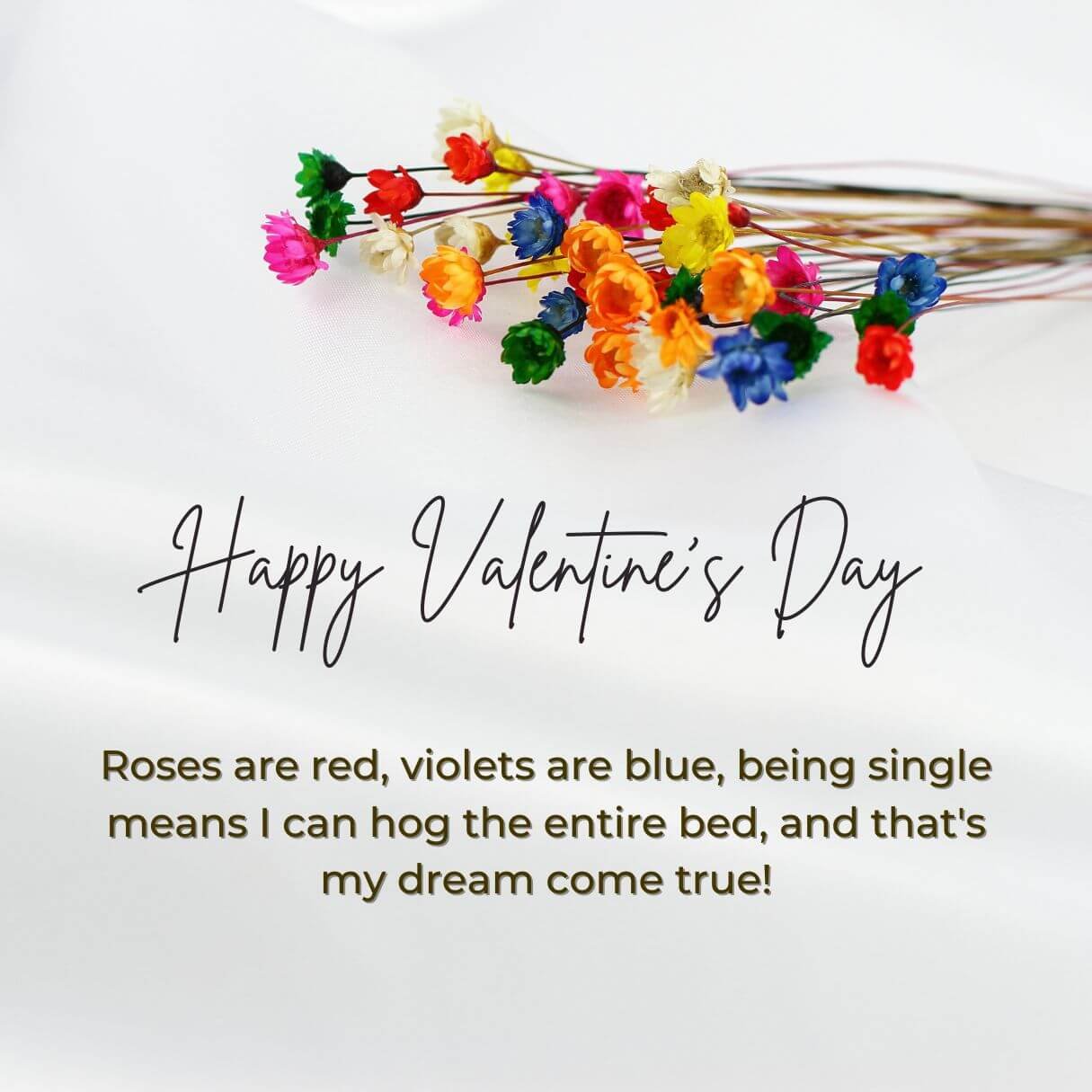 2024 Funny Valentines Day Wishes For Singles