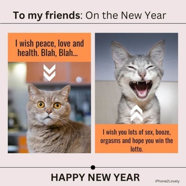 30 Funny Happy New Year 2024 Wishes and Statuses iPhone2Lovely