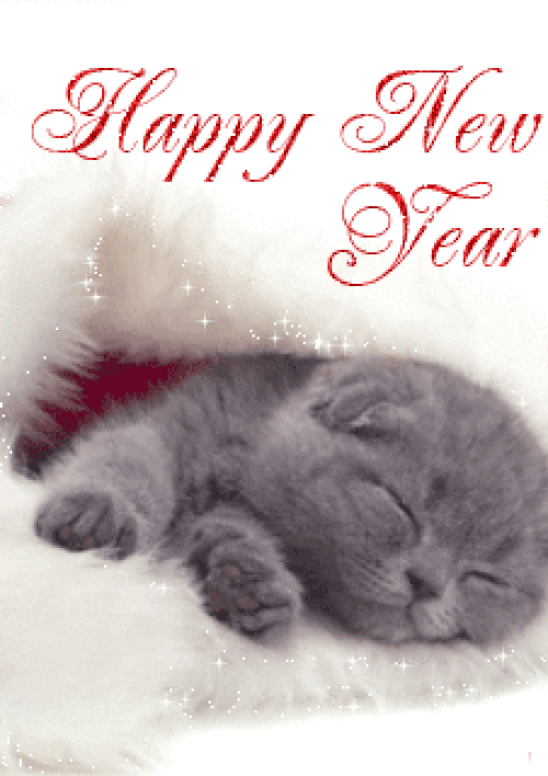 Happy New Year Cats Gif 2025 With Image
