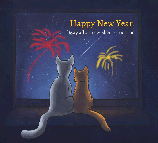 Happy New Year For Cats 2025 Gif
