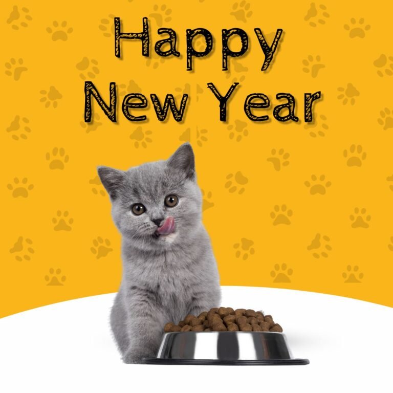 80 Happy New Year Cat Images, GIFs and Memes (2025) iPhone2Lovely