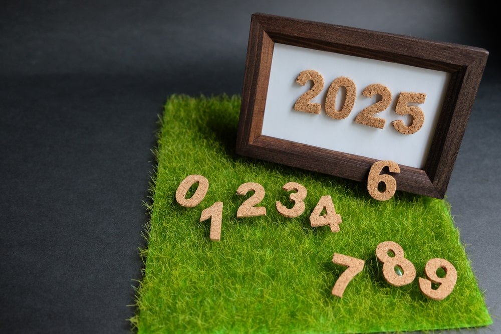 Natural New Year 2025 Hd Background Min